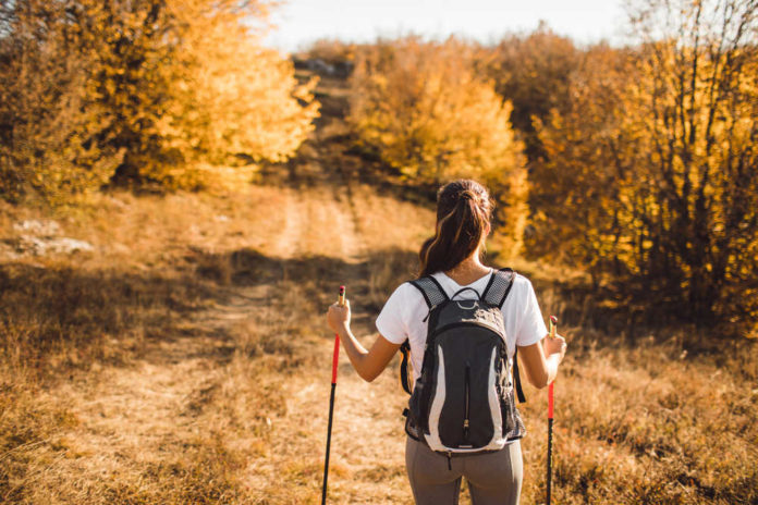 Three Health Benefits of Having a Hobby